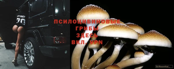 меф Абаза